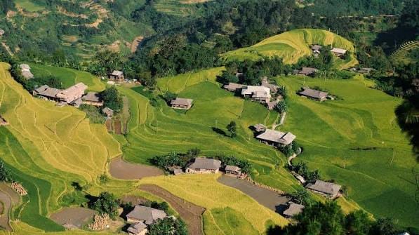 Ban Phung les plus belles rizières du Vietnam Ban Phung Ha Giang : Guide Complet du Plus Beau Village Perché de Hoang Su Phi