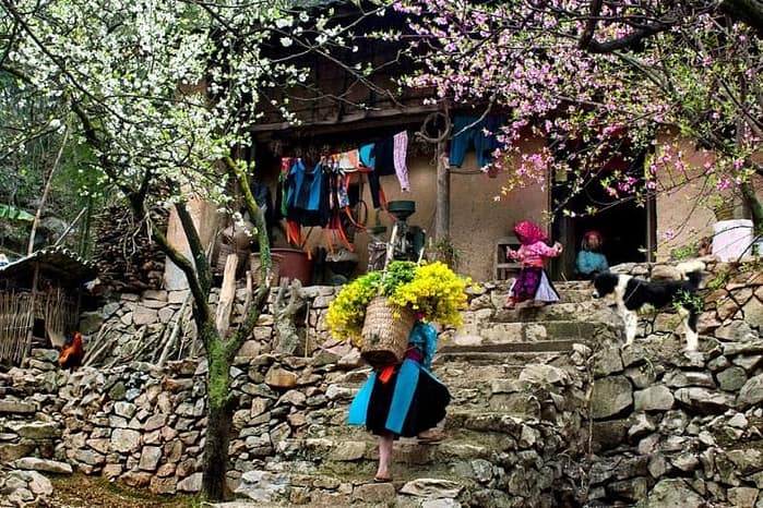 visiter Ha Giang en février