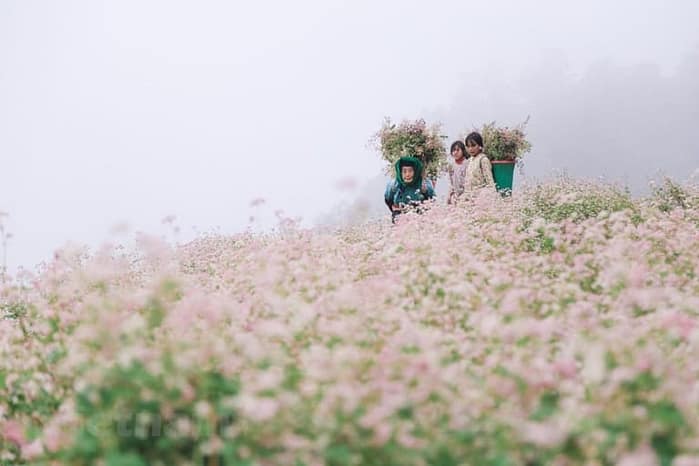 Ha Giang en octobre
