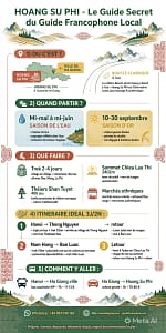 Infographie pour Hoang Su Phi Que faire ?