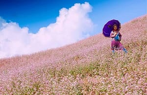Ha Giang en octobre