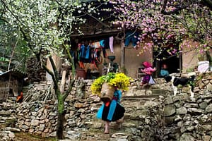 visiter Ha Giang en février