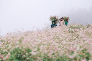 Ha Giang en octobre
