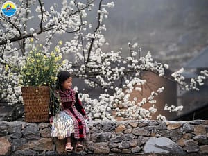 Ha Giang en Février : Météo, Fleurs de Pêcher, Têt et Boucle en Moto - Guide Complet 2026