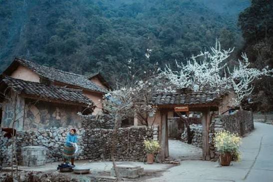 Maison de Pao à Sung La : La Vraie Maison Hmong de la Boucle de Ha Giang