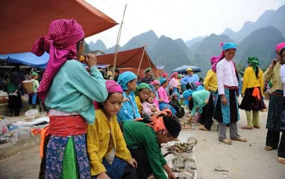 Hmong Blancs et Hmong Fleuris