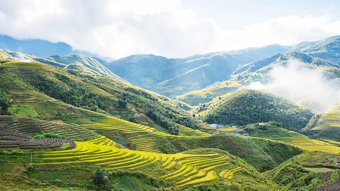 Sapa ou Ha Giang ? Le Vrai Comparatif d'un Guide Francophone Qui Vit Dans Les Deux