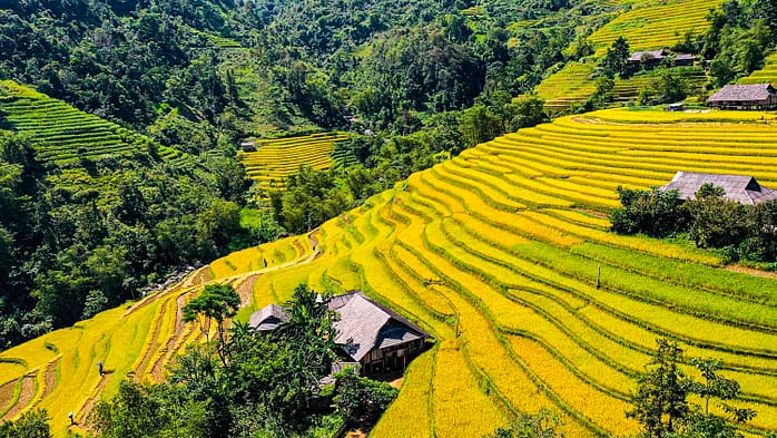 Trek Hoang Su Phi : 3 itinéraires authentiques loin des touristes [Guide Local]