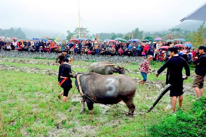 Fêtes et Festivals de Ha Giang à ne Pas Louper : Calendrier Complet 2026-2027 [Guide Francophone]