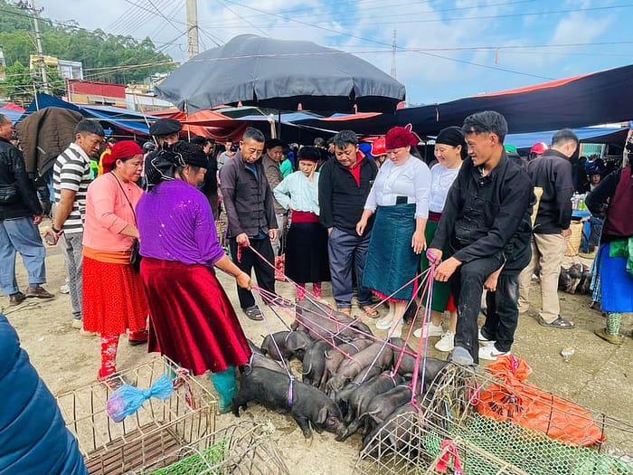 Marchés locaux à inclure dans votre itinéraire de boucle de Ha Giang - guide des meilleurs marchés ethniques locaux de Ha Giang Marchés locaux à inclure dans votre itinéraire de boucle de Ha Giang - guide des meilleurs marchés ethniques locaux de Ha Giang